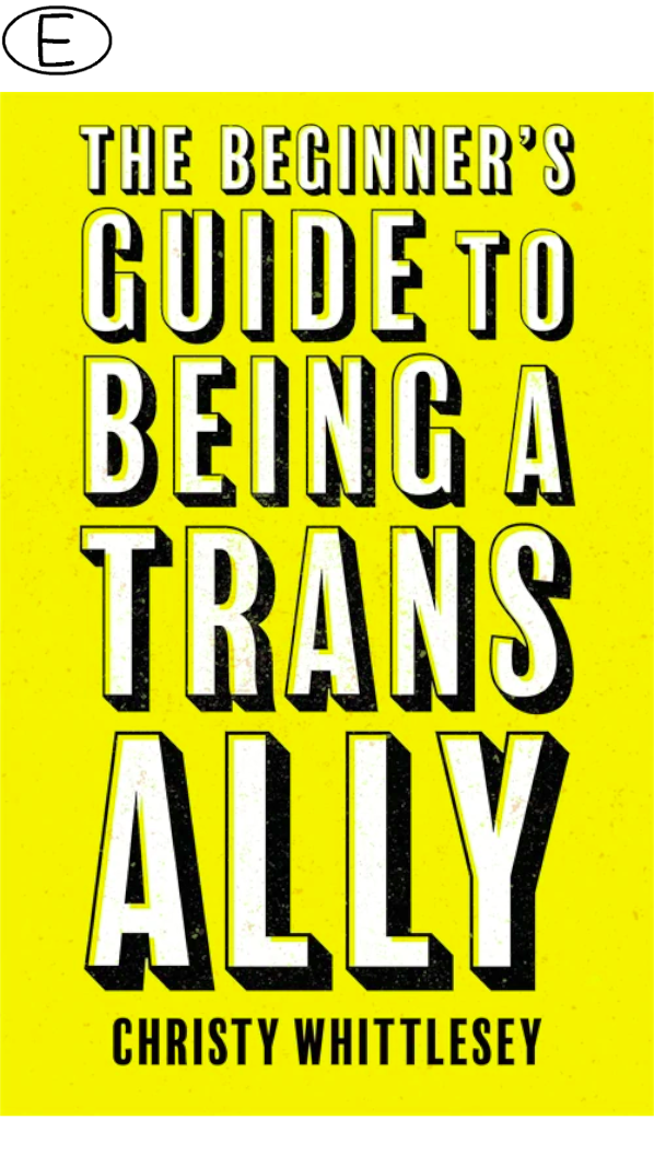 (Bild für) The Beginner's Guide to Being A Trans Ally - zum Schließen ins Bild klicken