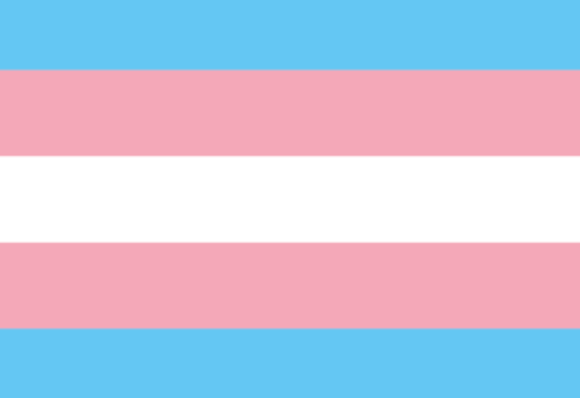 Trans*-Flagge m. schmalen Aussenstreifen