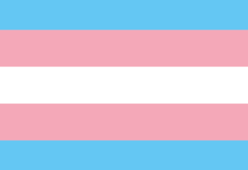 (Bild für) Trans*-Flagge A8