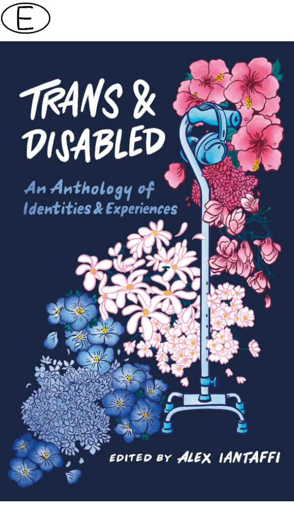 (Bild für) Trans and Disabled
