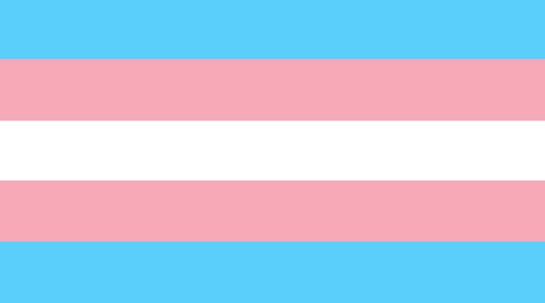 Trans*-Flagge
