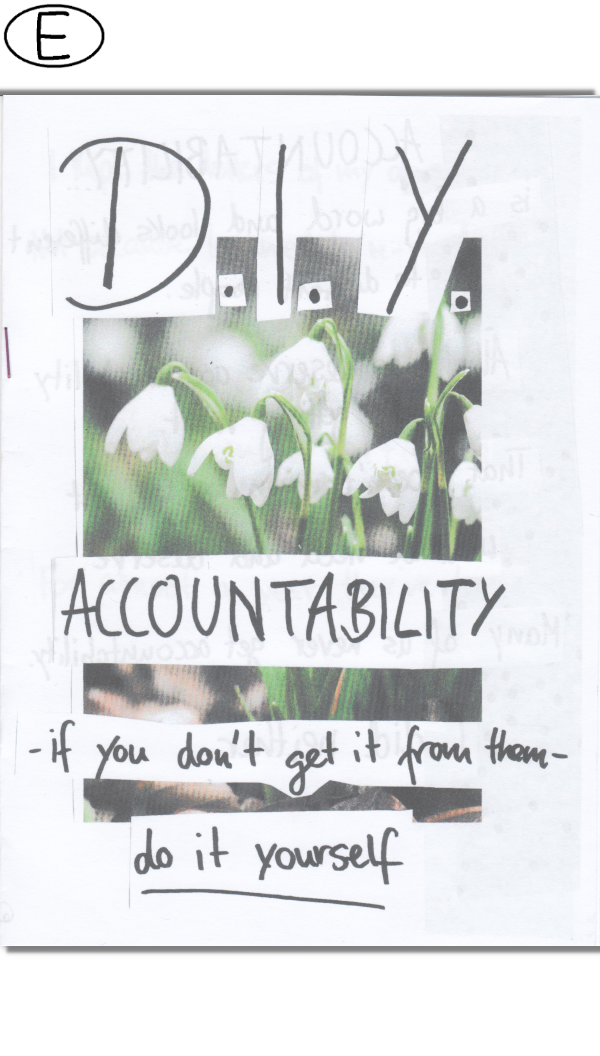 D.I.Y. Accountability