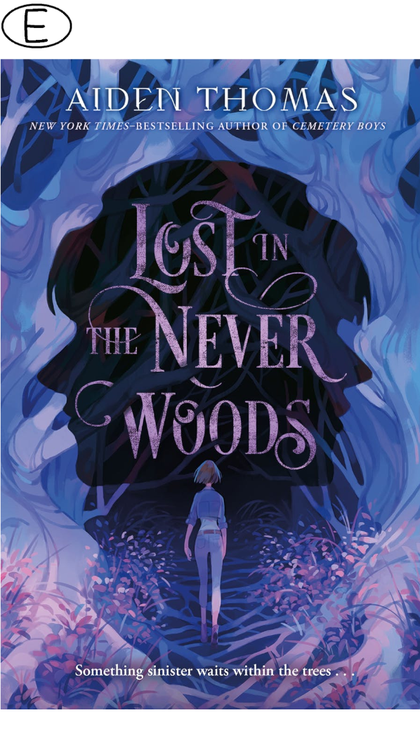 Lost in the Never Woods (ab 13 J.)