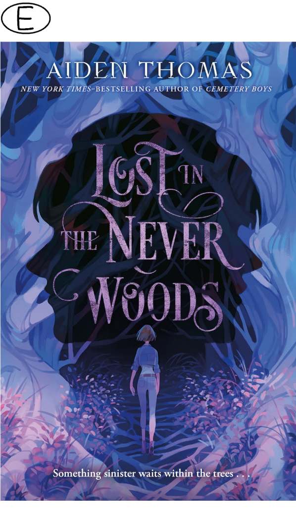 (Bild für) Lost in the Never Woods (Hardcover)