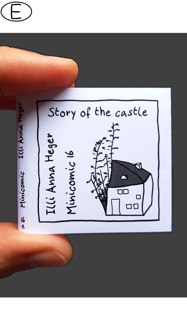 Story of the Castle